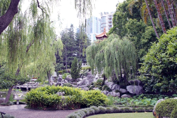 Sydney Chinese Gardens, photo 2.
