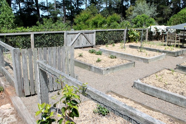 A veggie garden from the 2014 Garden Ramble.