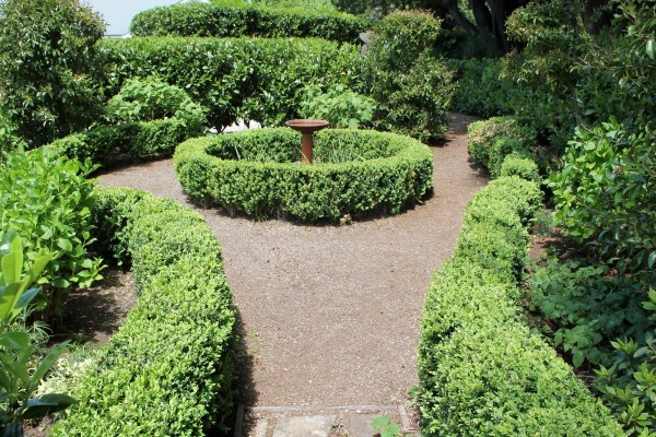 A pathway with low hedging.
