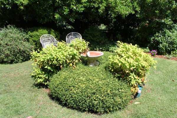 A small birdbath.