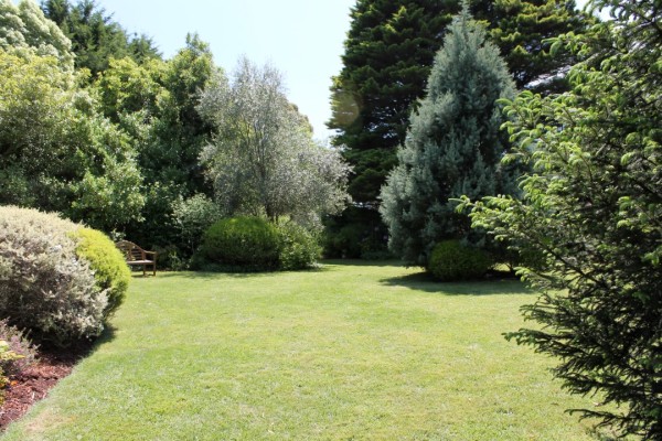 A large flat lawn.