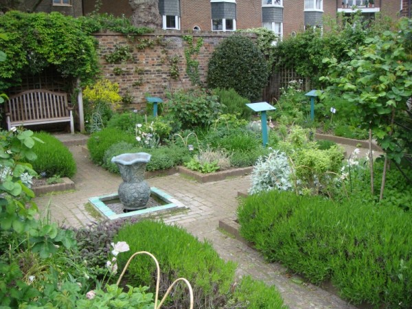Veggie Garden Ideas